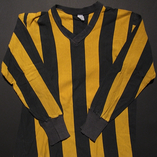 gestreiftes_trikot_fuenfziger_jahre_kartoffelkaefer_ES